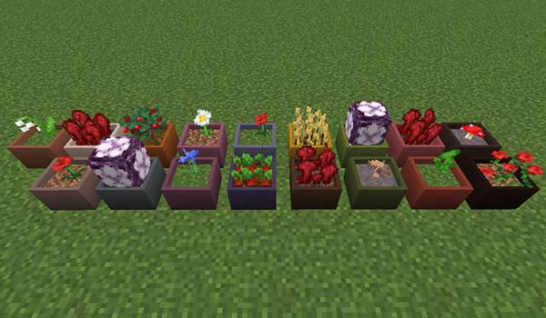 Botany Pots Mod For Minecraft 1 14 4 Mtmods Com