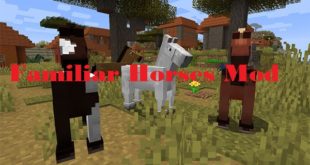 Minecraft 1 15 1 Mods Part 12